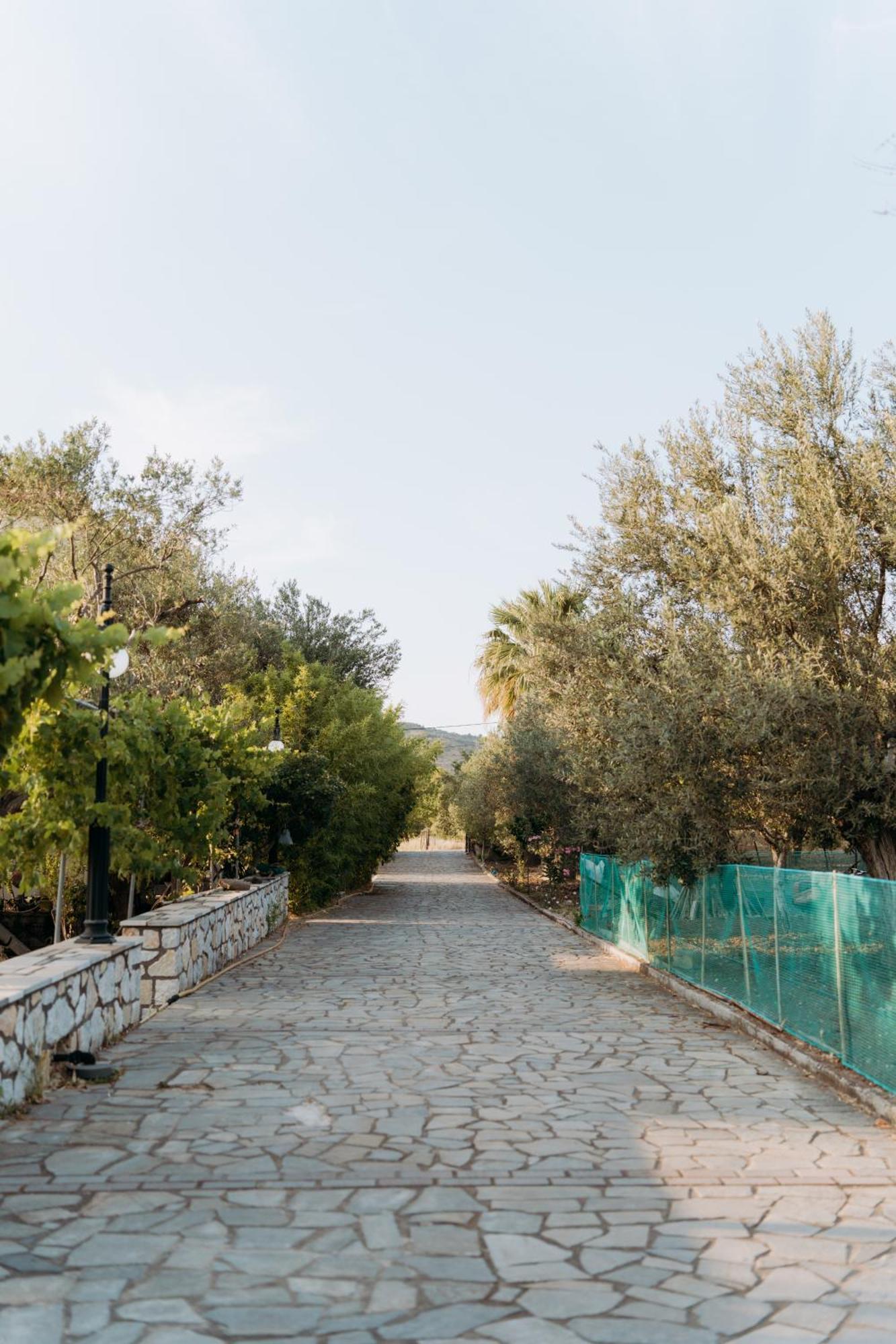 Vasiliki Studios بترا المظهر الخارجي الصورة